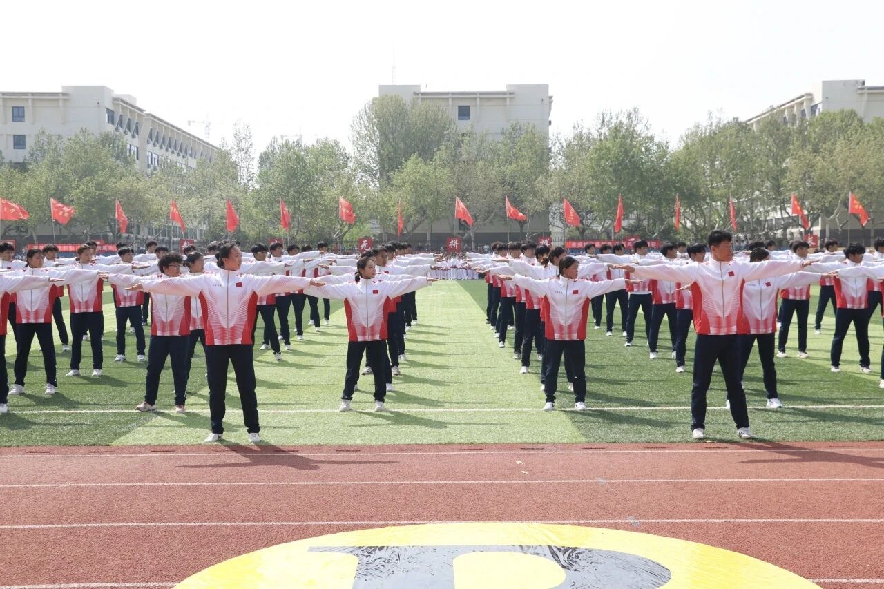D.jpg